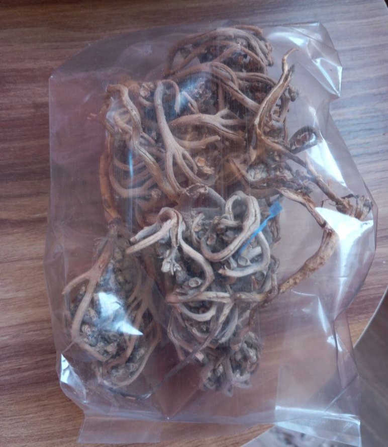 Meryem Ana Eli Otu - Görsel 2