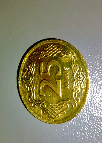 Vintage Erkek Rozet Altın Renk 25 Sayılı - Ana görsel