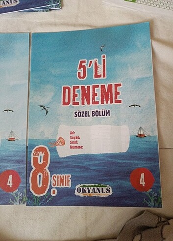  Beden Renk 8.sinif genel deneme