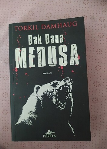 Roman kitabı 