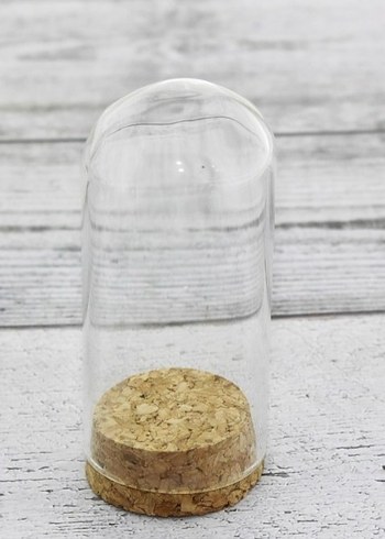 cam fanus - Görsel 4