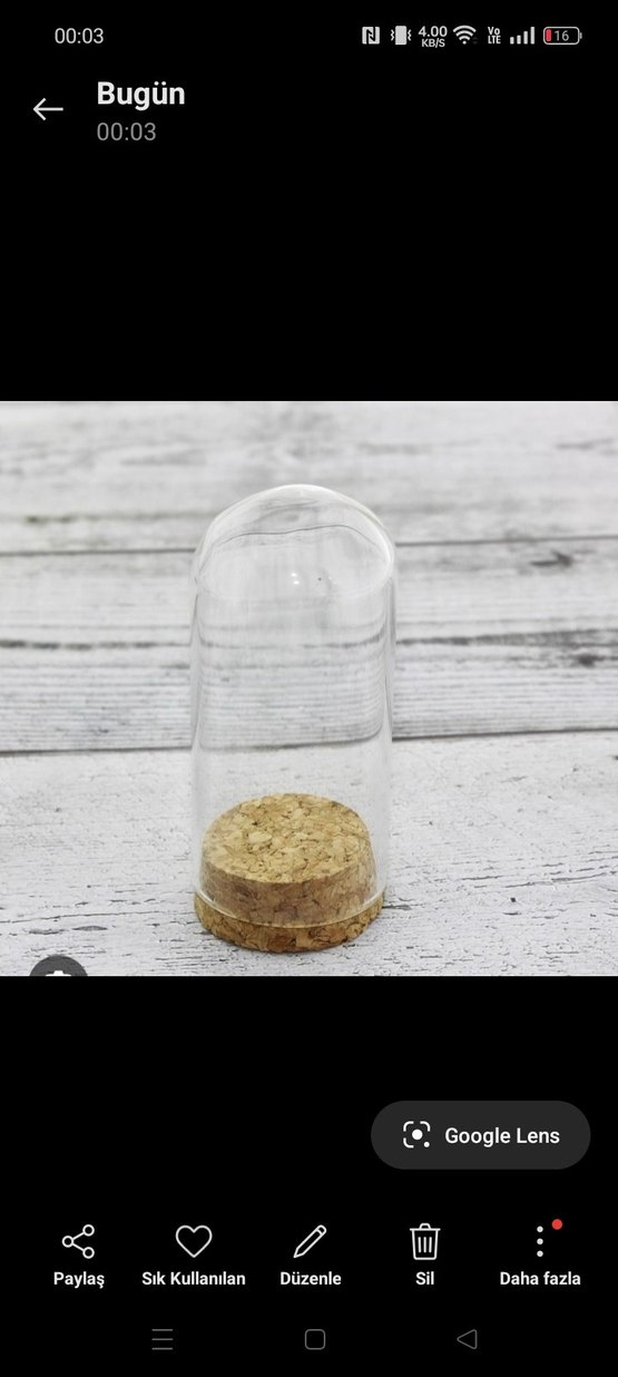 cam fanus - Görsel 3