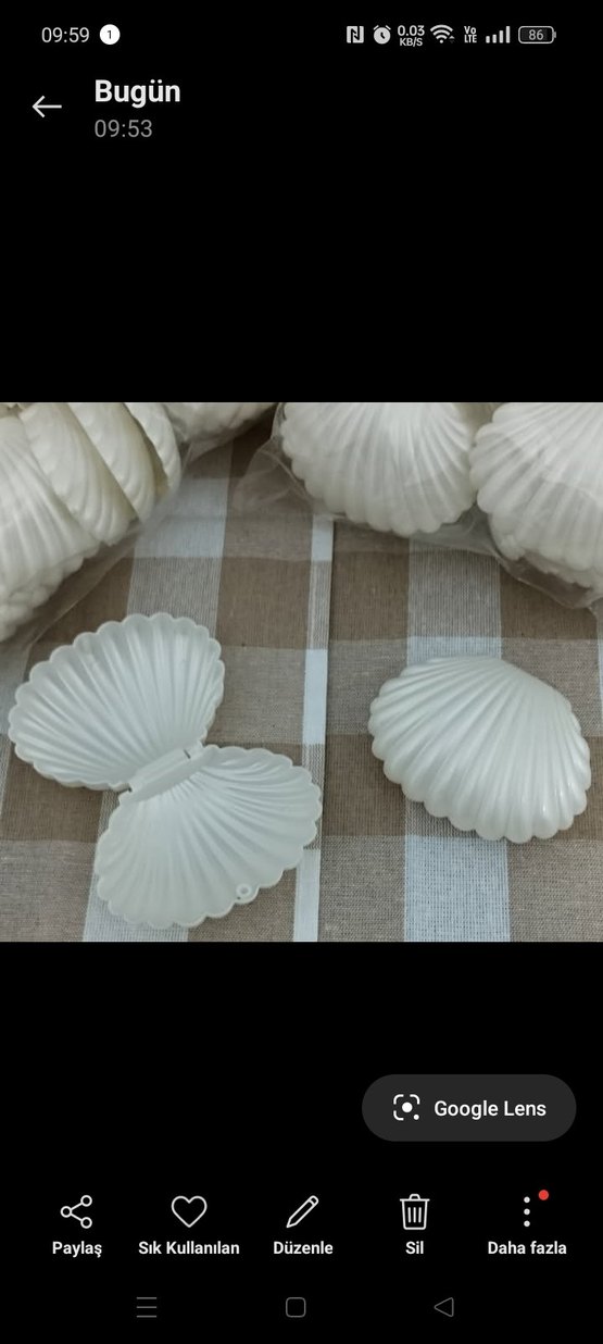 istiridye mika kutu - Görsel 2