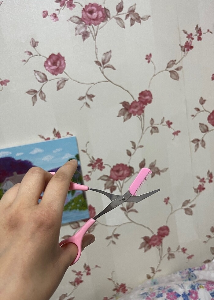 Kaş Makası - Görsel 3