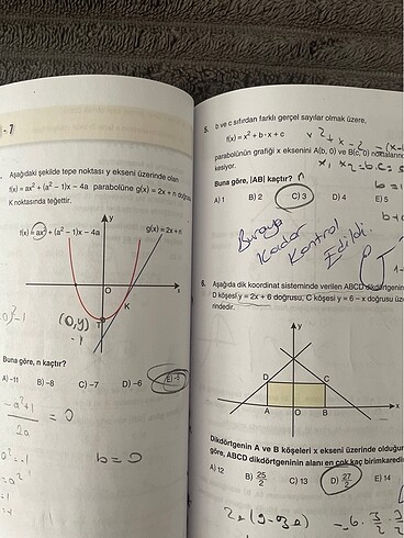  Beden Bilgi sarmal matematik