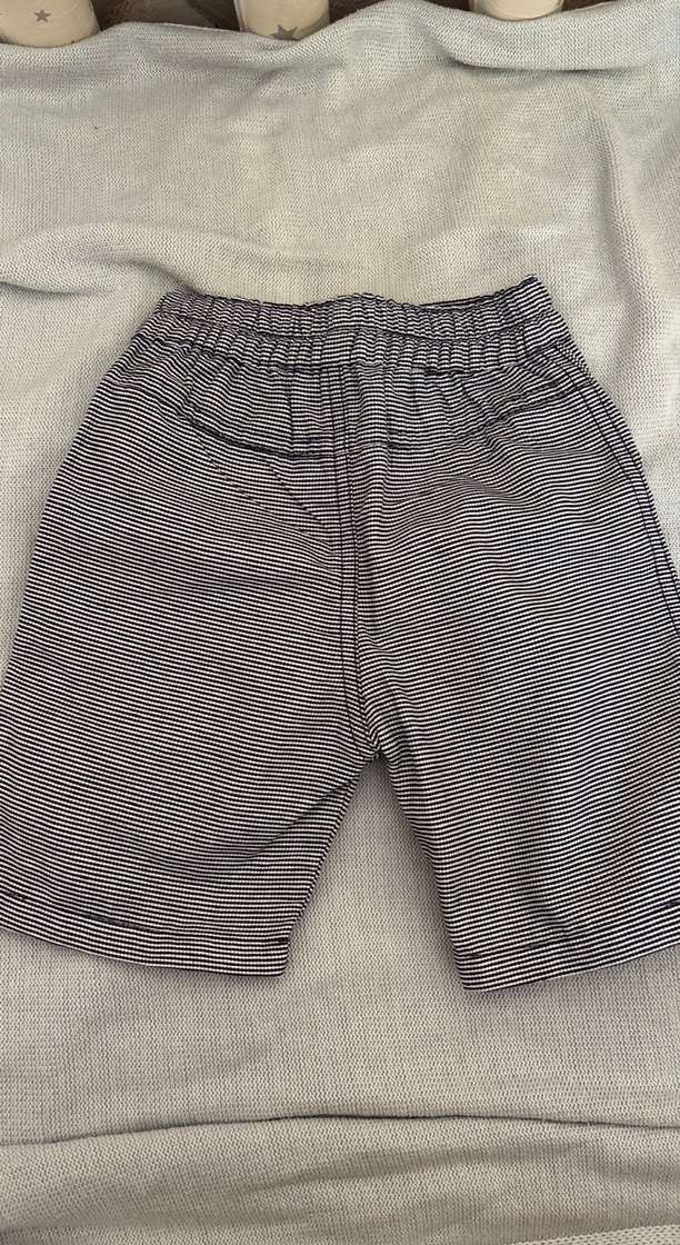 Düğmeli Gri Çizgili Erkek Şort - Görsel 2