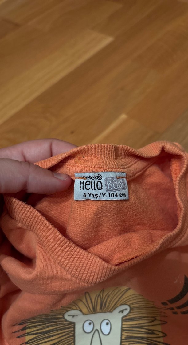 Erkek Çocuk Renkli Aslan Baskılı Sweatshirt - Görsel 3