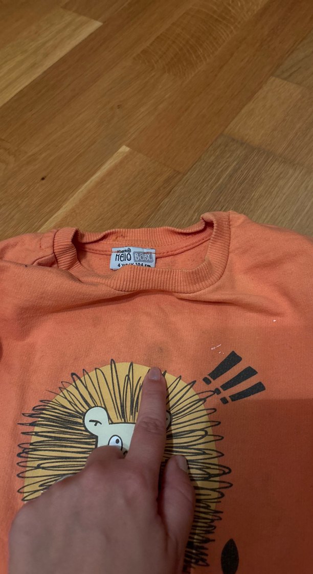 Erkek Çocuk Renkli Aslan Baskılı Sweatshirt - Görsel 2