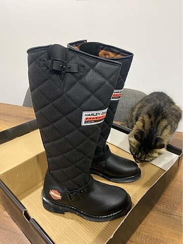 Harley Davidson Çizme