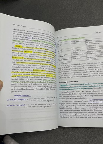 Çocuk Gelişimi Kitabı - Ayşe Dilek Öğretir Özçelik - Görsel 6