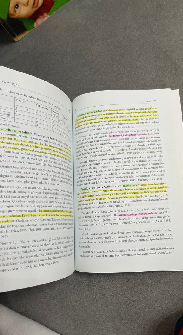 Çocuk Gelişimi Kitabı - Ayşe Dilek Öğretir Özçelik - Görsel 4
