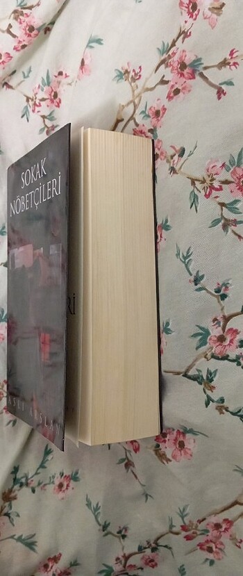  Beden Sokak nöbetçileri 
