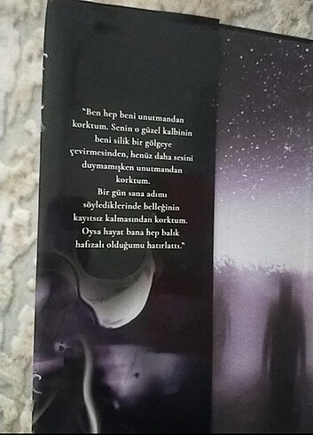  Beden Renk Orion 
