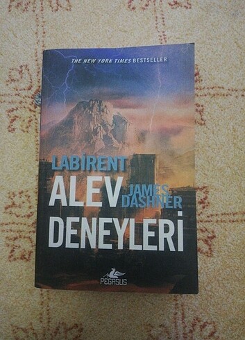 Beden Renk Labirent serisi