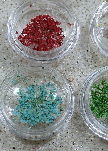 Renkli Kurutulmuş Çiçek Tırnak Süsleri - Görsel 9