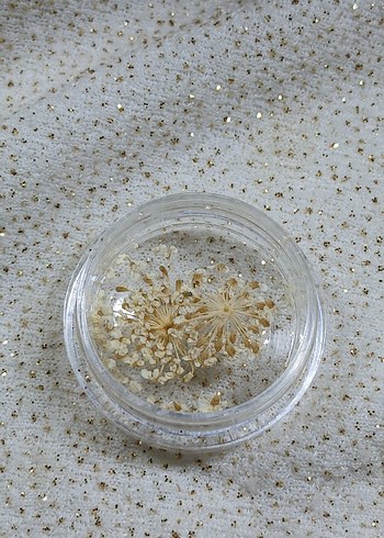 Renkli Kurutulmuş Çiçek Tırnak Süsleri - Görsel 4