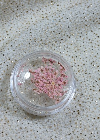 Renkli Kurutulmuş Çiçek Tırnak Süsleri - Görsel 2