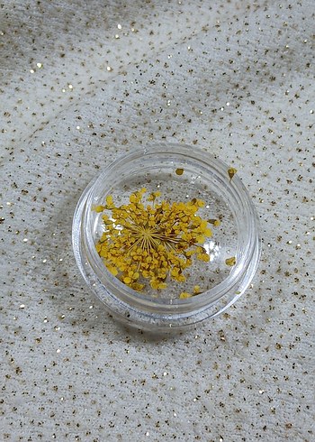 Renkli Kurutulmuş Çiçek Tırnak Süsleri - Görsel 5