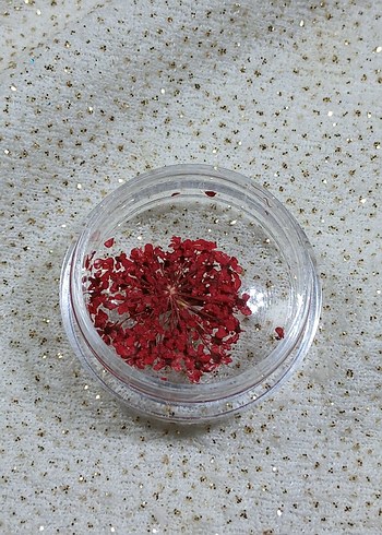 Renkli Kurutulmuş Çiçek Tırnak Süsleri - Görsel 6