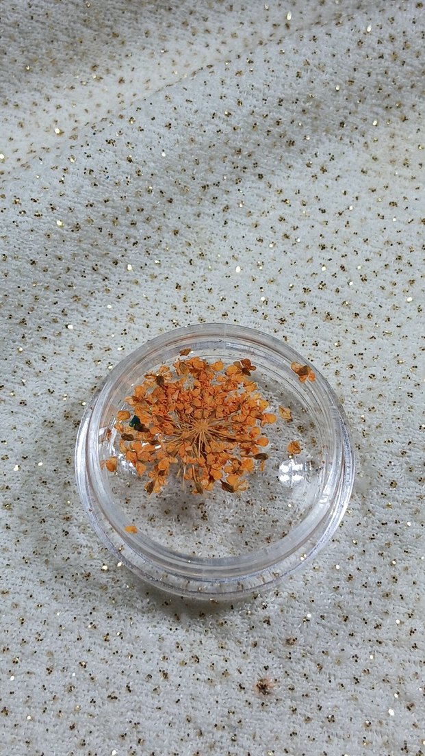 Renkli Kurutulmuş Çiçek Tırnak Süsleri - Görsel 3