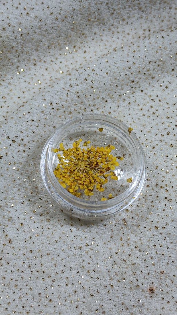 Renkli Kurutulmuş Çiçek Tırnak Süsleri - Görsel 5