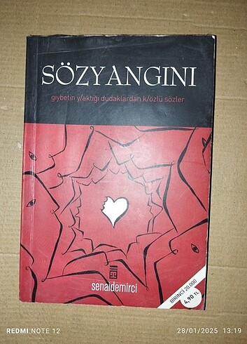 Sözyangını 
