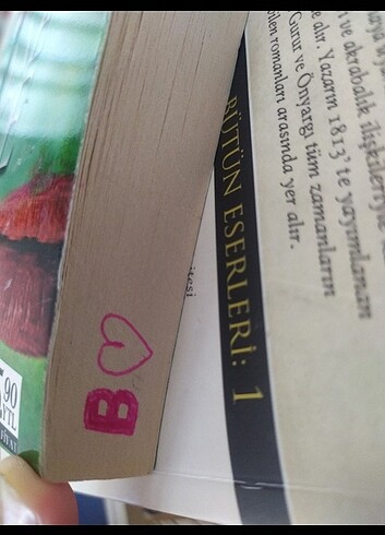 Beden Renk Vittorio Anne Rice