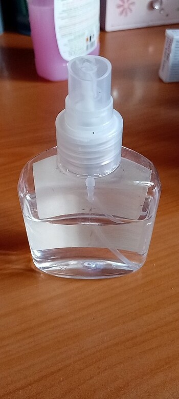 Lavanta kolonyası  - Görsel 2