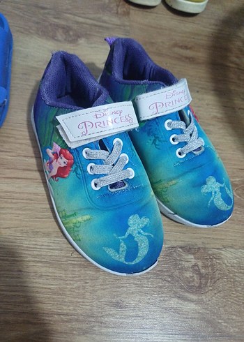 Walt Disney World 28