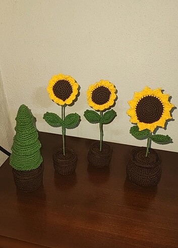 2 li küçük günebakan, bir adet büyük saksı günebakan, bir adet ç