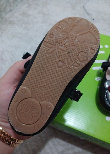 Walt Disney World 24