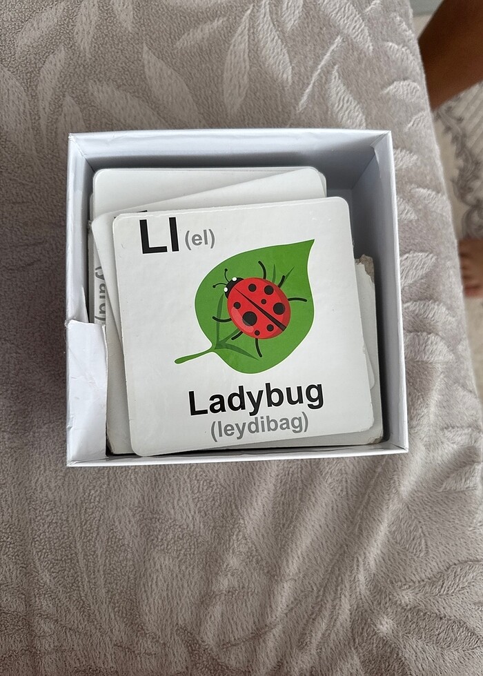 İngilizce kart - Görsel 2