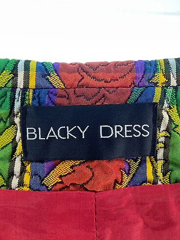 38 Beden çeşitli Renk Diğer Blazer %70 İndirimli.