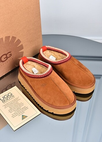 UGG tazz terlik taba süet 