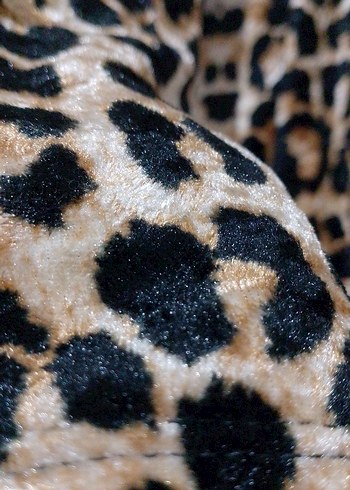 Kadın leoparlı çıtçıtlı body - Görsel 9