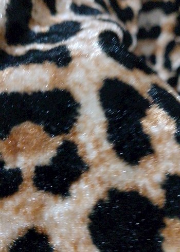 Kadın leoparlı çıtçıtlı body - Görsel 10