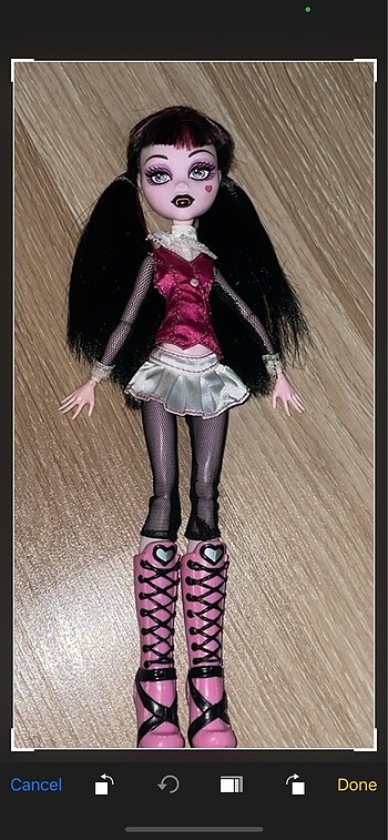 Monster high basic draculaura