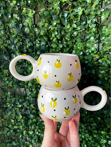 Limonlu Kupa Takımı