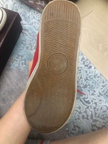 37 Beden Orjinal lacoste