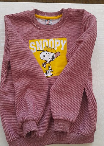 Erkek Çocuk Renkli Snoopy Baskılı Sweatshirt