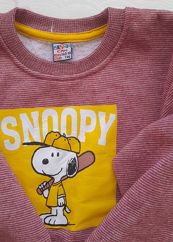 Diğer Erkek Çocuk Renkli Snoopy Baskılı Sweatshirt