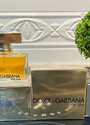 DOLCE &GABBANA 