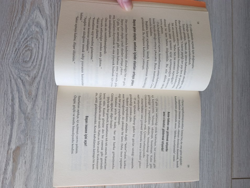 Limit Sizsiniz Kişisel gelişim kitabı - Görsel 2