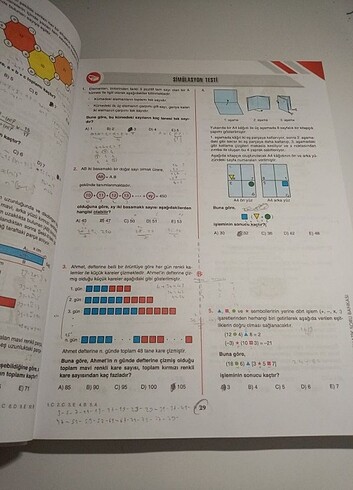 Beden Bilgi sarmal tyt matematik