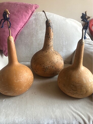 Su kabağı (süs)