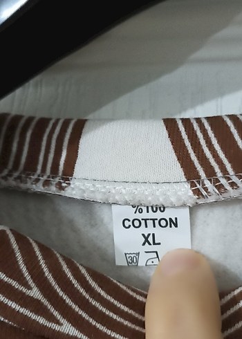 Uzun Kollu Kahverengi polar - Görsel 3