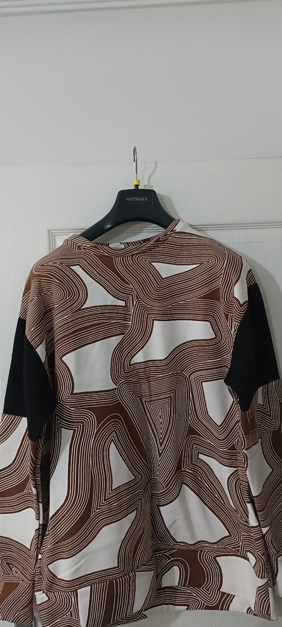 Uzun Kollu Kahverengi polar - Görsel 2