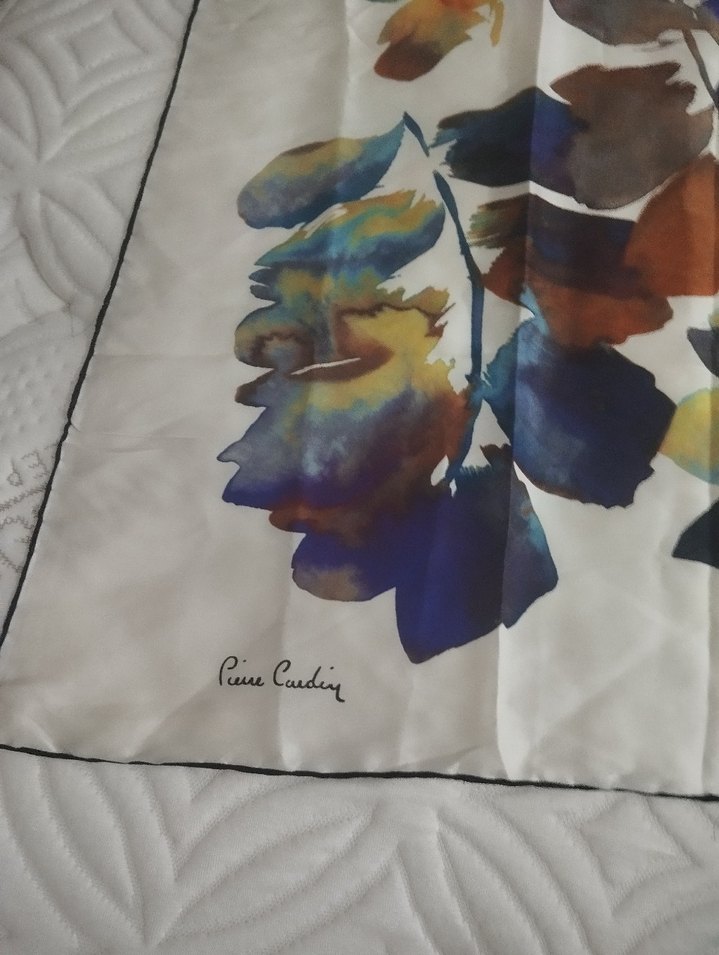 Şeffaf, Çok Renkli Kadın ipek Fular - Görsel 2