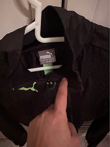 Puma üst