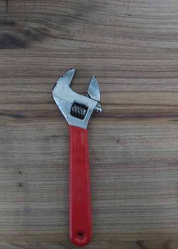 Kırmızı Kurbağacık - Görsel 2